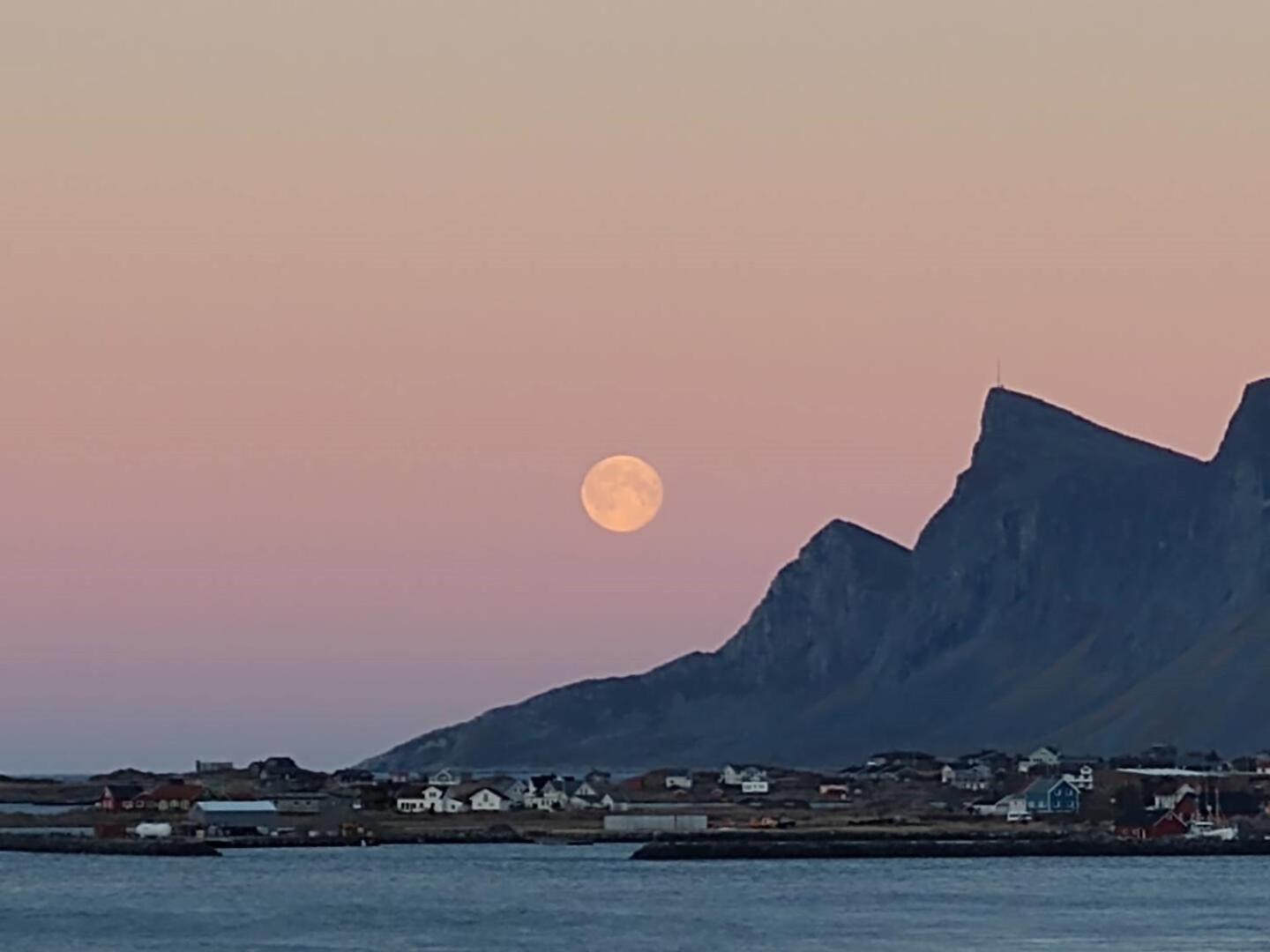 Fredvang Farm House - Lofoten Eksteriør billede