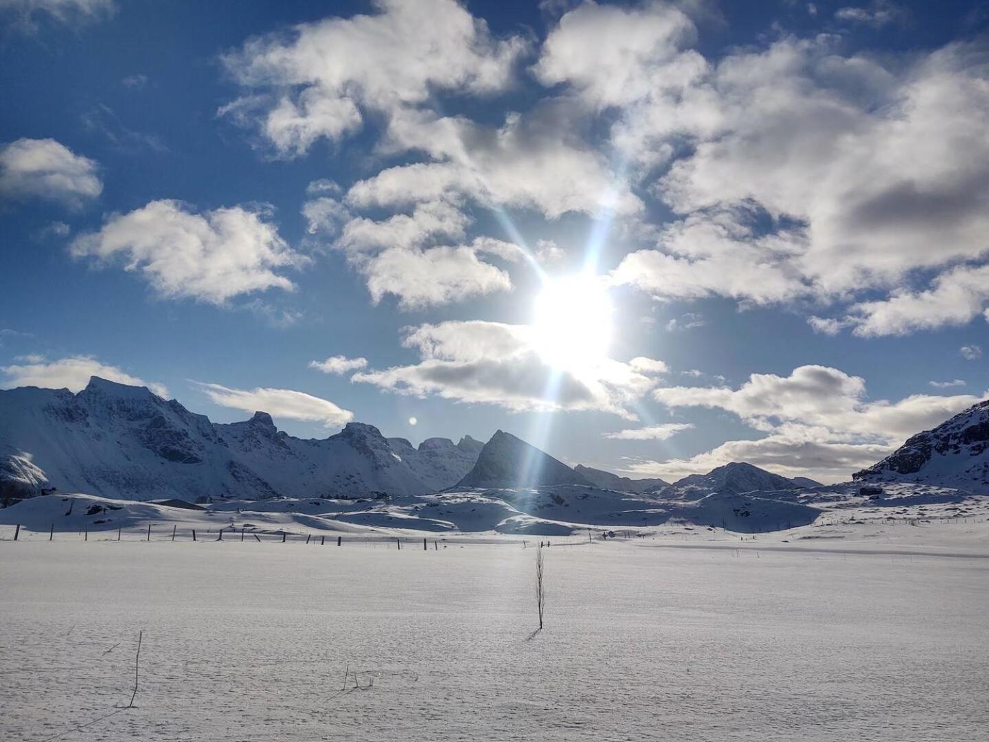 Fredvang Farm House - Lofoten Eksteriør billede