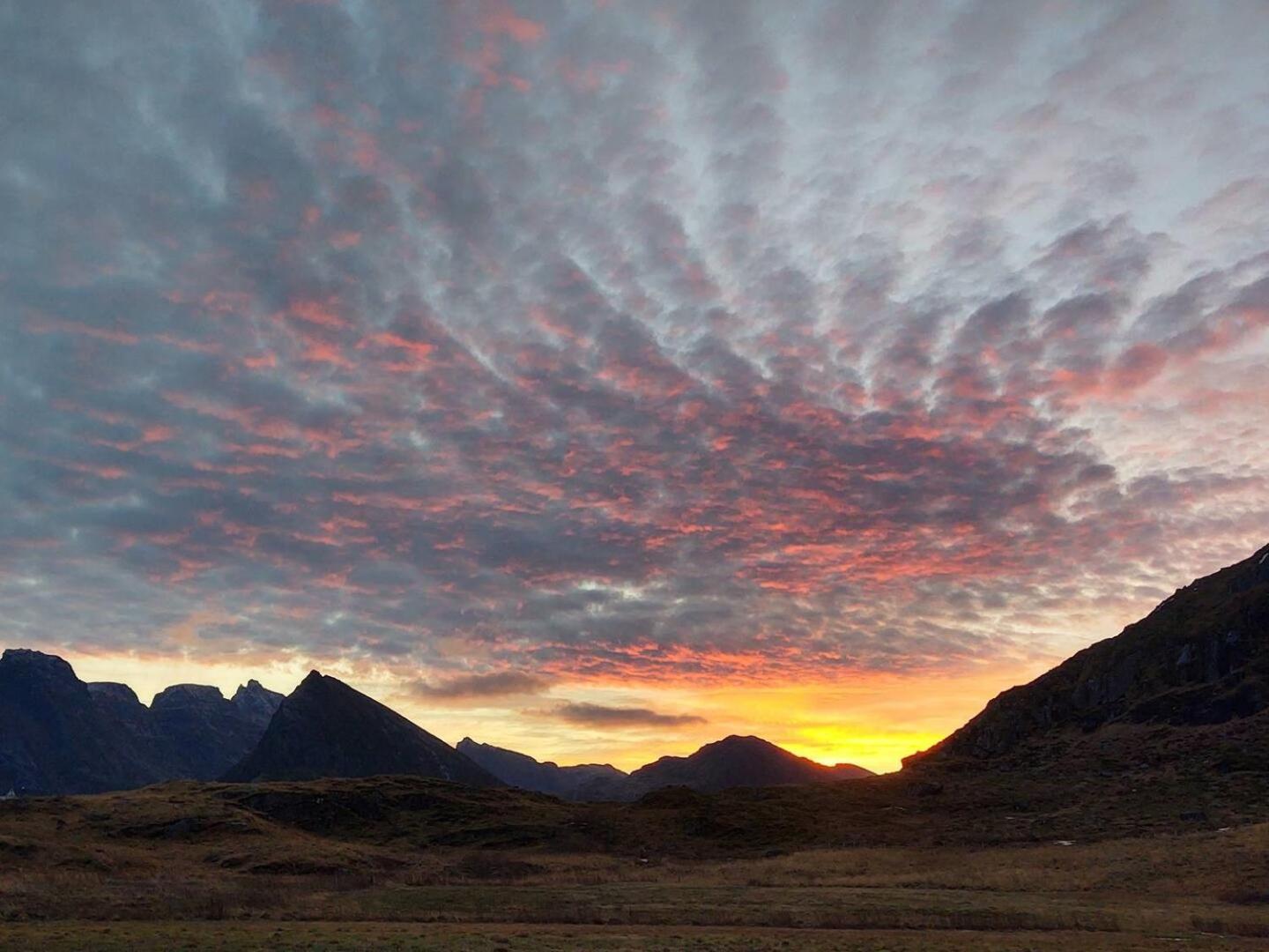 Fredvang Farm House - Lofoten Eksteriør billede