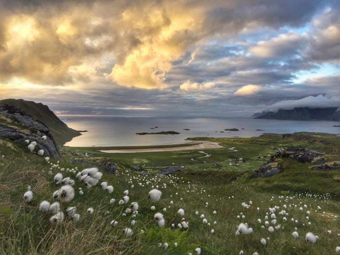 Fredvang Farm House - Lofoten Eksteriør billede