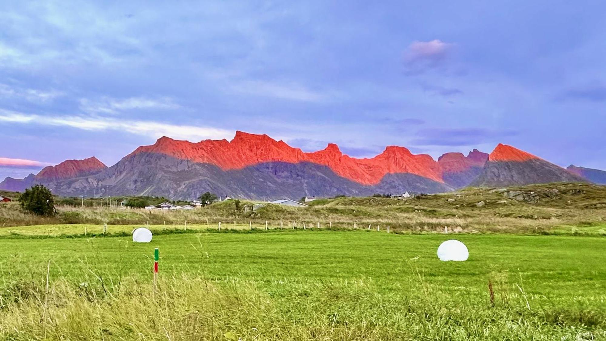 Fredvang Farm House - Lofoten Eksteriør billede